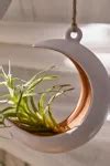 Crescent Moon Hanging Air Plant Holder | Urban Outfitters