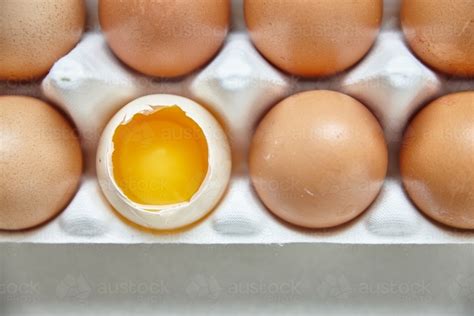 Image of Dozen eggs in paper carton - Austockphoto