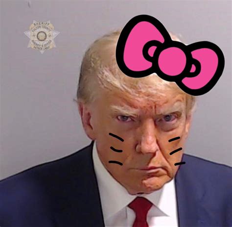 HEllo Kitty Trump | Donald Trump's Mugshot | Know Your Meme