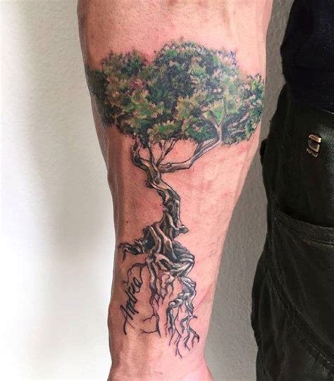 30 Stunning Olive Tree Tattoo Designs for Men [2024 Guide] | Olive tree tattoos, Picture tattoos ...