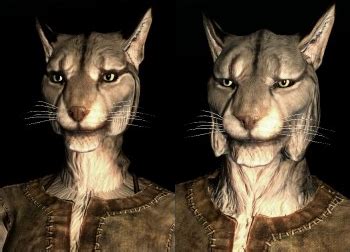 Khajiit | Elder Scrolls | FANDOM powered by Wikia