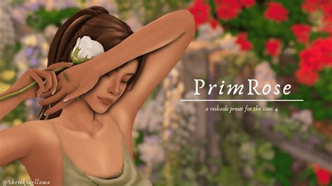 29+ Gorgeous Sims 4 ReShade Presets For A More Aesthetic Game!