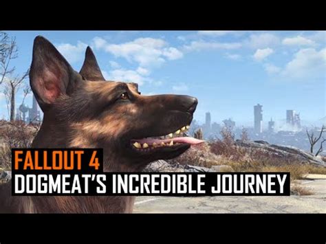 Dogmeat | Know Your Meme