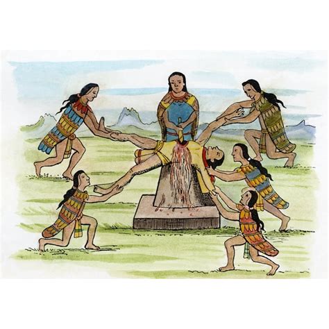 Mexico Aztec Sacrifice Nhuman Sacrifice After An Aztec Codex Rolled Canvas Art - (18 x 24 ...