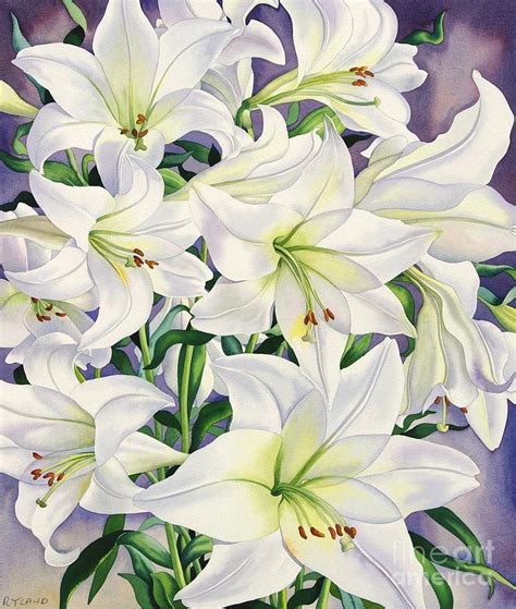 White Lilies Painting by Christopher Ryland