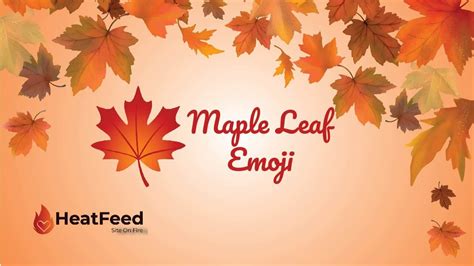 🍁 Maple Leaf Emoji-Meaning, Copy, ️ & Paste 📝