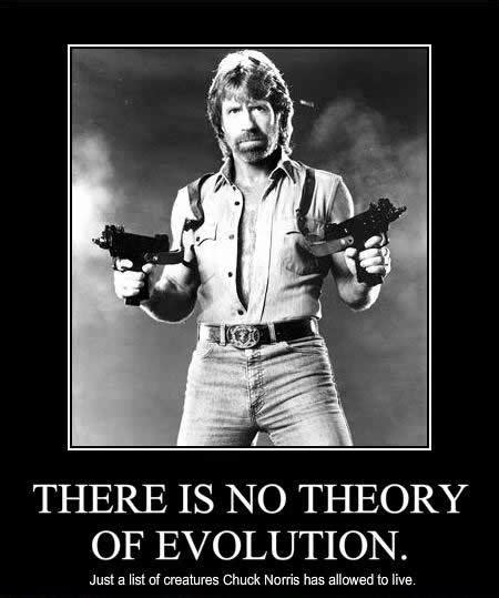 Chuck Norris Quotes | Quotes Tree