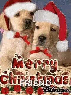 Merry Christmas GIF - Merry Christmas Cute - Discover & Share GIFs