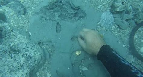 Excited Diver Discovers Gold Coins Worth Over a Million Dollars in a 1715 Spanish Shipwreck Off ...