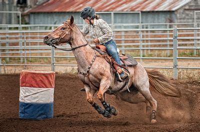 46 best images about Rodeo Barrel Racing on Pinterest | Olivia d'abo ...