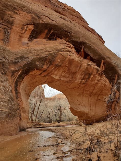 Coyote Gulch Hiking Trail - - Utah | Trailforks