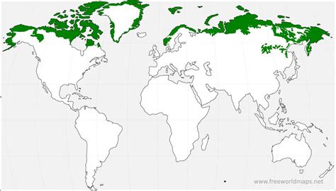 Biomes Map of the World