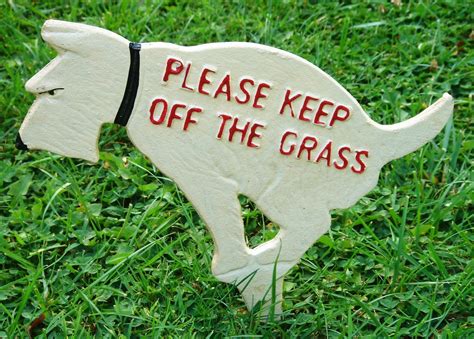 How to Stop Neighborhood Dogs from Pooping in Yard | Pest Control ...