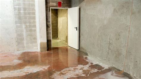 Why Your Basement Flooded With A Sump Pump – Forbes Home