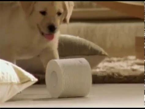 Cottonelle Dog Breeder - rens dog beds