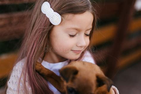 Little Girl with a Hairpin in Her Hair Hugs a Brown Dog Stock Photo - Image of friend, beautiful ...