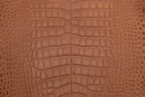 Alligator Skin Belly Matte Cognac 45/49 cm