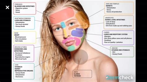 Face Mapping – Andy Paige Style