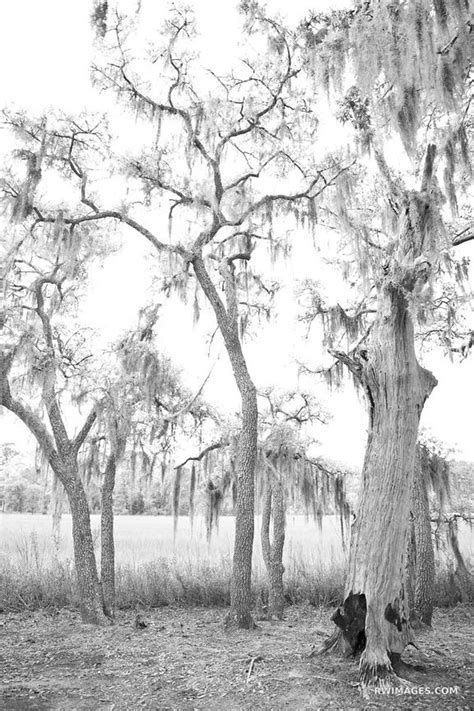 Fine Art Photography Prints | | | | | Beaufort South Carolina - Color & Black and White - All ...