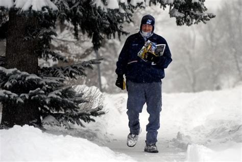 Mailman Builds a Ramp for a Disabled Senior Dog on His Route - LIFE ...