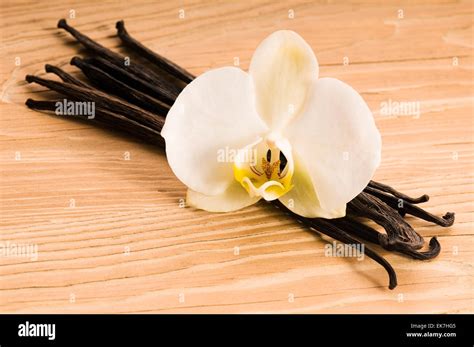 Vanilla pods and flower Stock Photo - Alamy