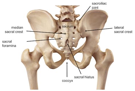 Sacrum fracture