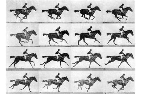 Eadweard Muybridge - The Horse in Motion | Ακαδημία Δημιουργικής Φωτογραφίας