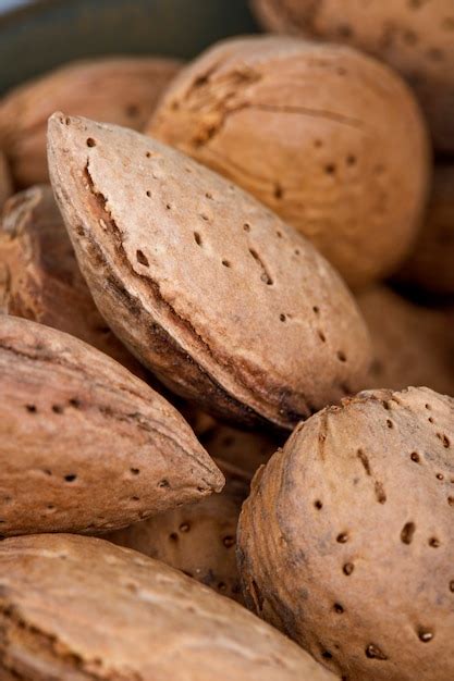 Free Photo | Close up view of almonds in shell