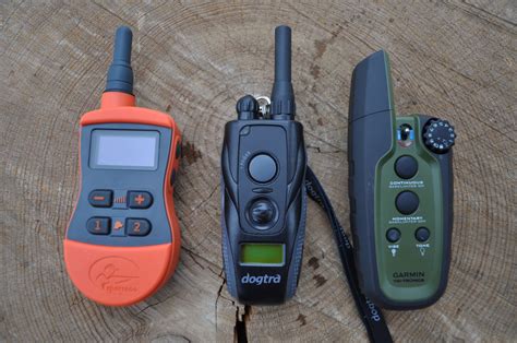 3 Best Remote Dog Collars for the Everyday Working Canine | GearJunkie