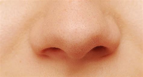 Loss of Smell Reported in 86% of Mild COVID Cases - AFHIL