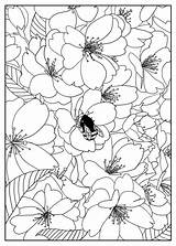 Free Printable Flower Coloring Pages For Kids  Best sketch template