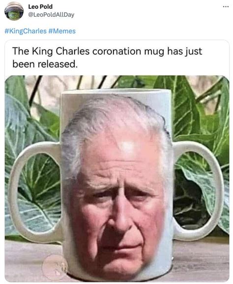 The Funniest King Charles Coronation Memes, Tweets, and Reactions | Darcy