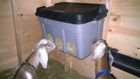 The Old Folks Home | Goat feeder, Goat hay feeder, Goat house