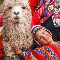 11 ideas de Llama Selfies | machu picchu, viaje a cusco, cuzco