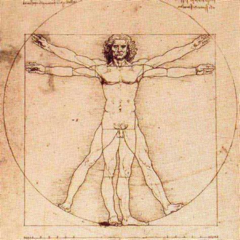 Vitruvian Man! | Vitruvian man, Art, Drawings