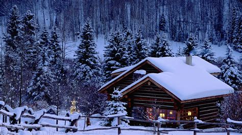 Christmas, Snow, Pine trees, Cabin HD Wallpapers / Desktop and Mobile Images & Photos
