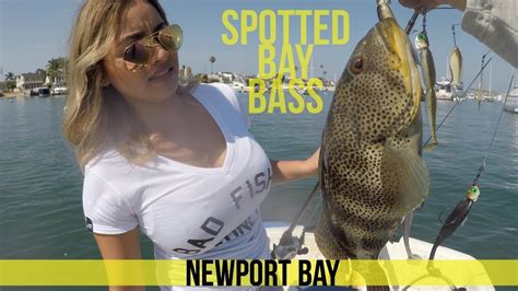 Spotted Bay Bass Fishing in Newport Bay - YouTube