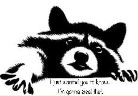 21 Raccoon Memes That Will Steal Your Weekend - Gallery | eBaum's World