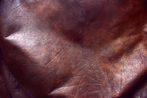 Genuine Leather 2 Free Stock Photo - Public Domain Pictures