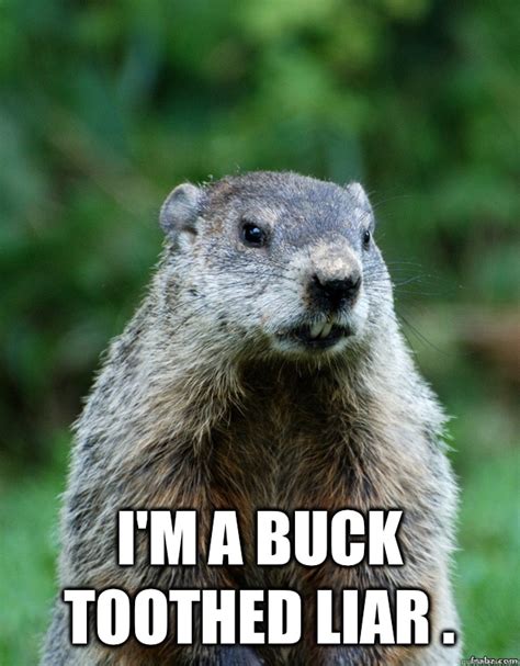 Groundhog Day memes | quickmeme