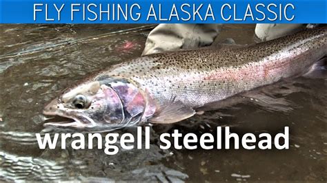 Fly Fishing Alaska FWL Classic Wrangell Steelhead Episode Two - YouTube