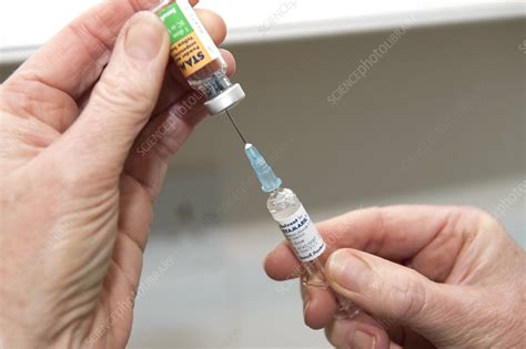 Yellow fever vaccine - Stock Image - C004/2448 - Science Photo Library