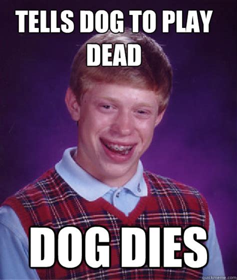 Tells dog to play dead Dog dies - Bad Luck Brian - quickmeme