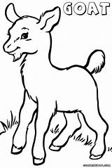 Cute Goat Coloring Pages At GetColoringscom  Free Printable Colorings sketch template