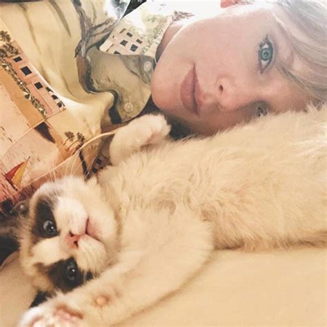 Upbeat News - Taylor Swift's Cats Are The Most Googled Celebrity Pets Of 2020