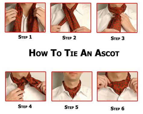 How to tie an ascot | Cravat tie, Ascot, Cravat