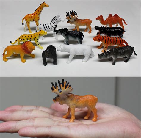 12pcs Wild animals plastic model toy set · Believe-Fly Toys Co., Ltd.