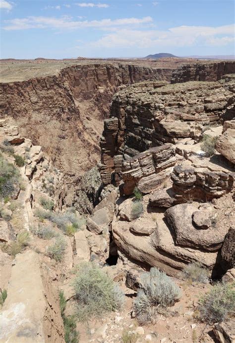 Little Colorado River Gorge in Arizona Stock Image - Image of people ...