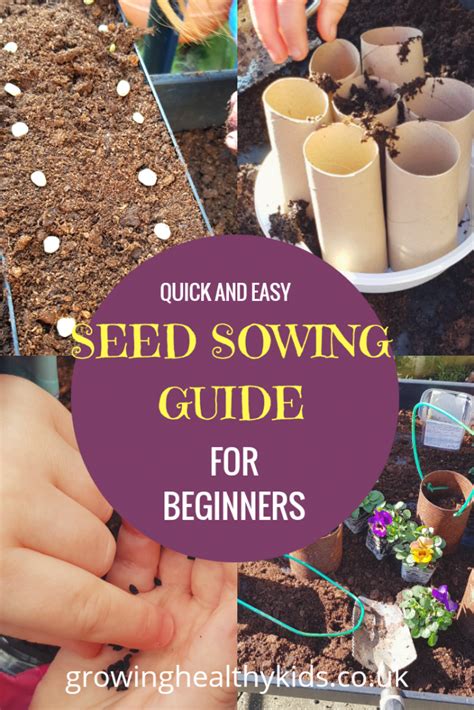 Quick And Easy Seed Sowing Guide for Beginner's and children gardener's ...