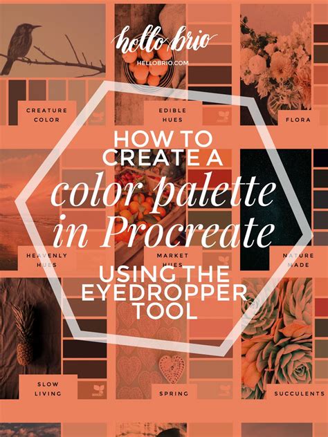 How to Create a Color Palette in Procreate Using the Eyedropper Tool | Procreate, Lettering ...